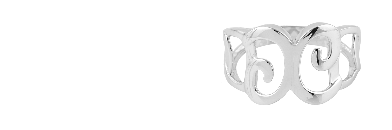 purpose-ring-slide-2026